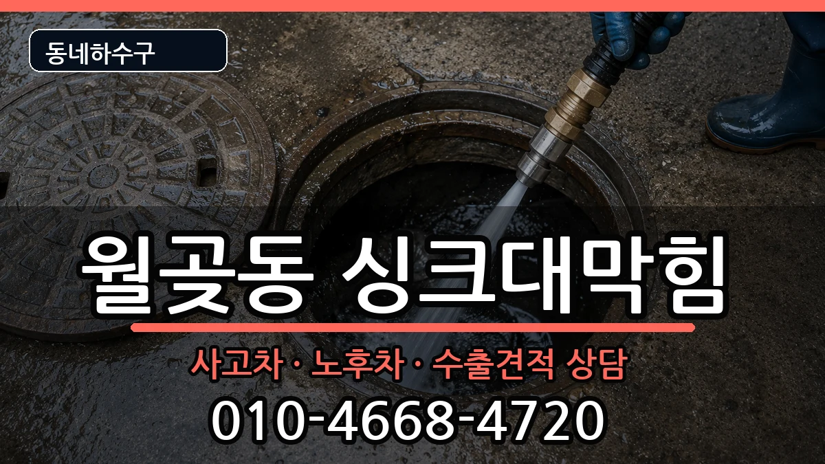 경기시흥시월곶동  싱크대막힘 주의사항형