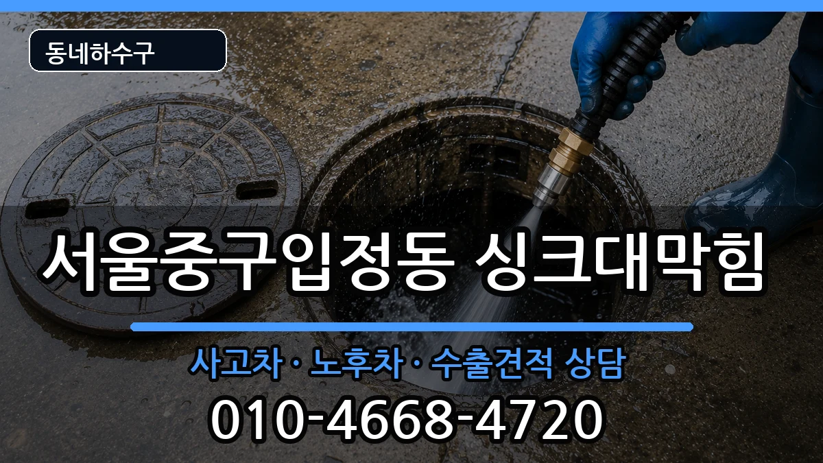 서울중구입정동  싱크대막힘 FAQ형