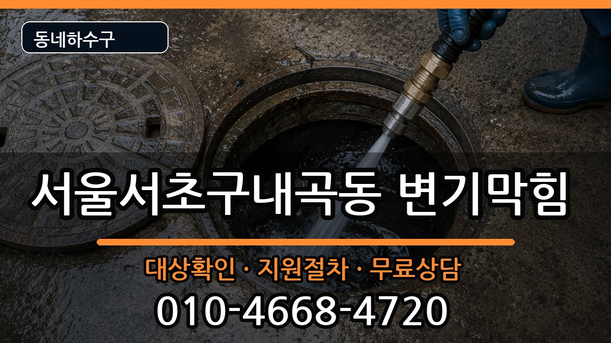 서울서초구내곡동 변기막힘 증상 처리 안내 이미지 3