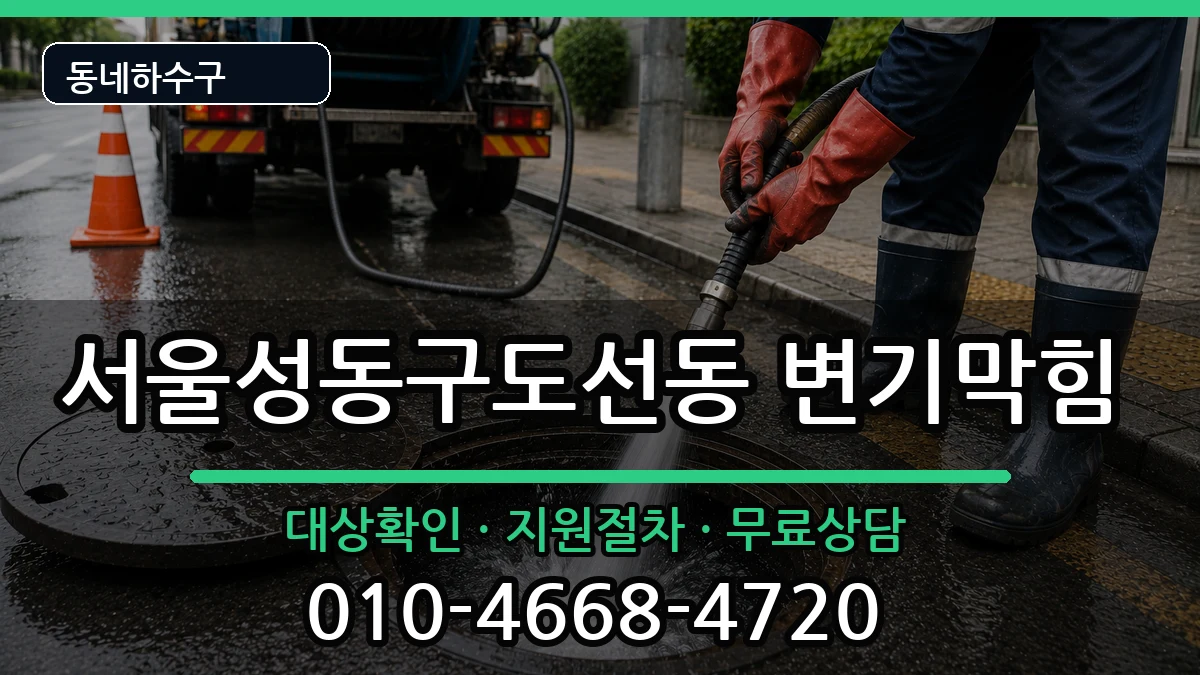 서울성동구도선동  변기막힘 질문형