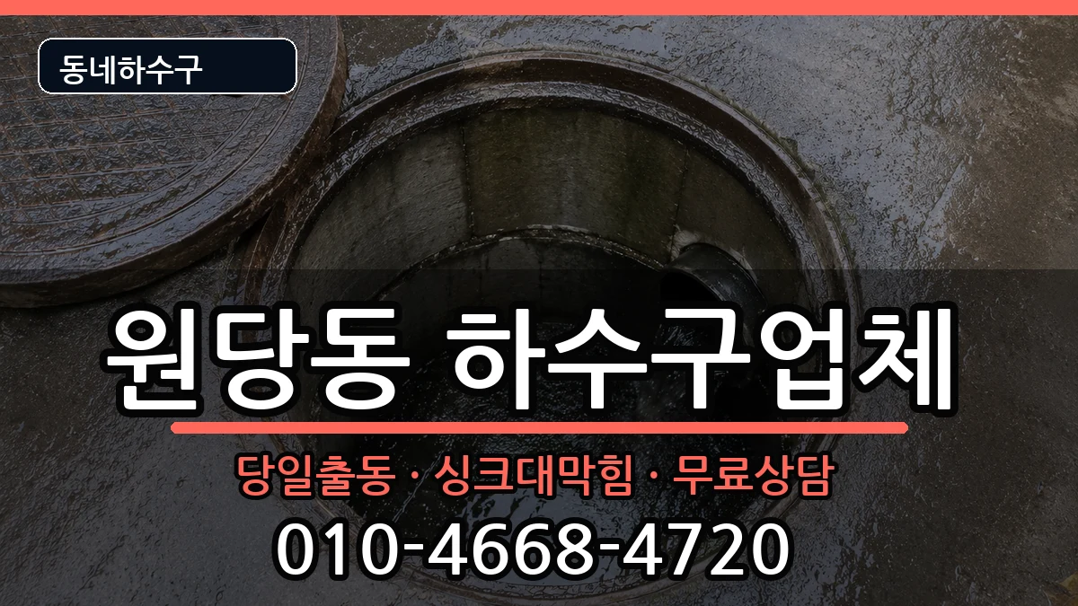 경기고양시덕양구원당동 하수구막힘 증상 처리 안내 이미지 1