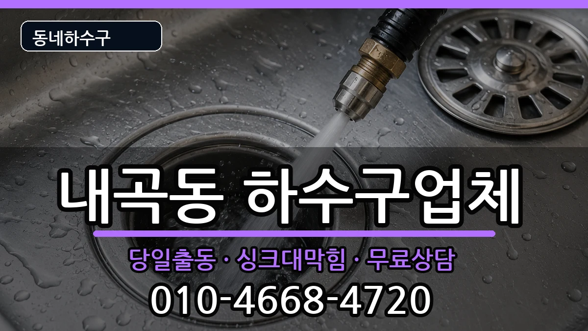 경기고양시덕양구내곡동 하수구막힘 증상 처리 안내 이미지 1