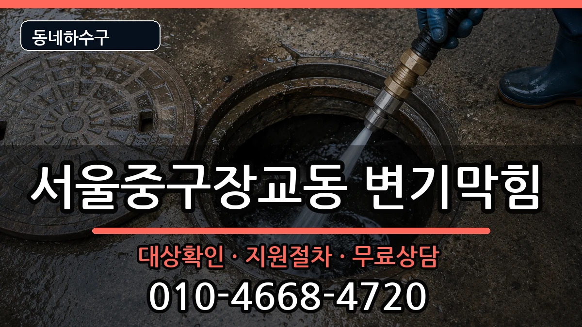 서울중구장교동 변기막힘 증상 처리 안내 이미지 3