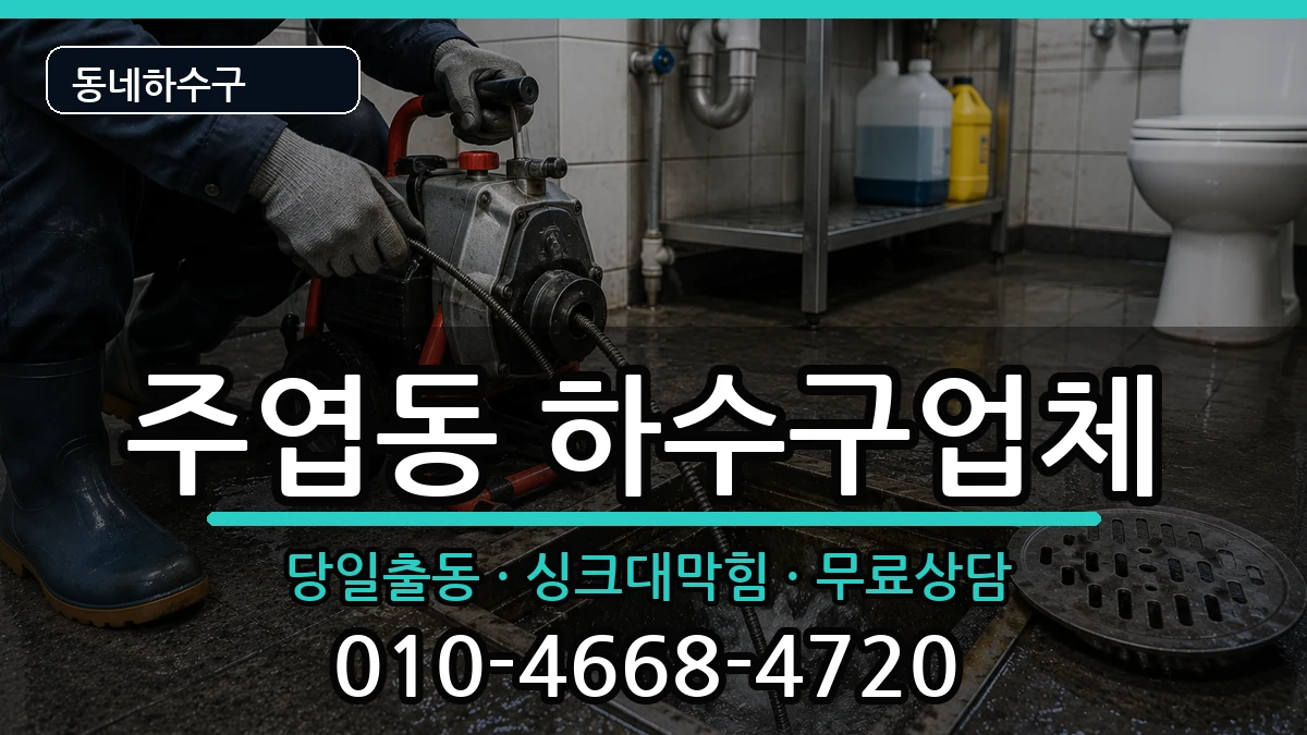 경기고양시일산서구주엽동  하수구막힘 정보형