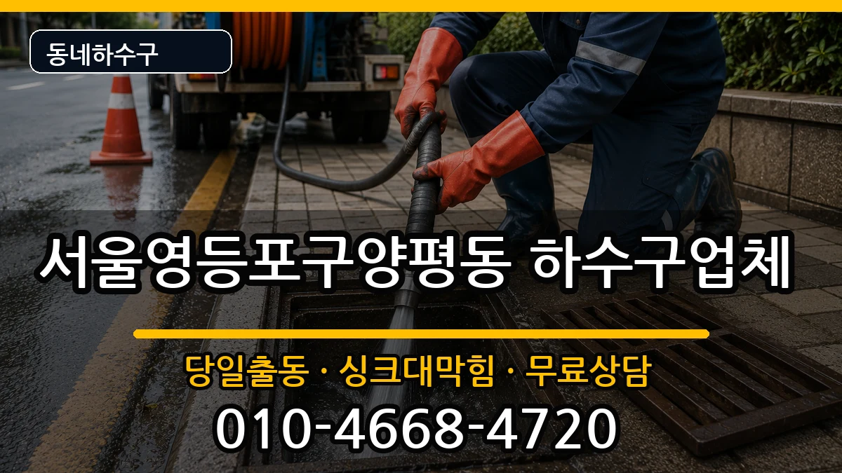 서울영등포구양평동  하수구막힘 질문형