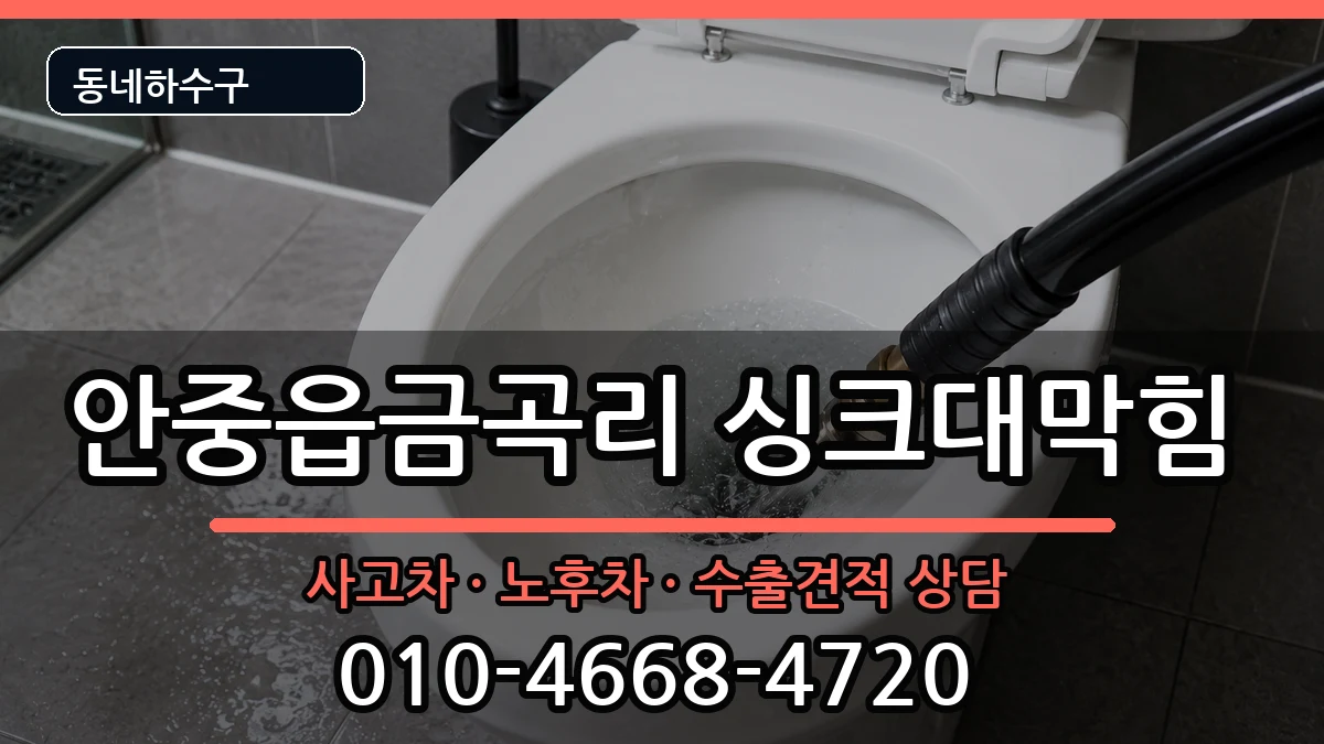 경기평택시안중읍금곡리  싱크대막힘 준비사항형