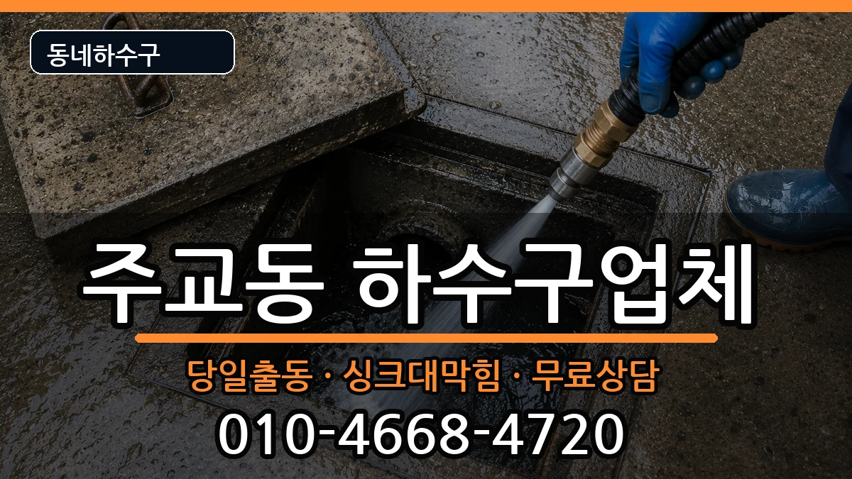 경기고양시덕양구주교동  하수구막힘 주의사항형