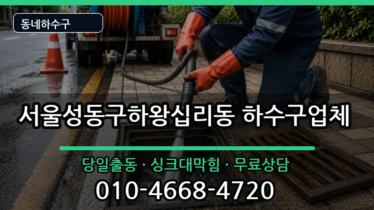 서울성동구하왕십리동  하수구막힘 질문형