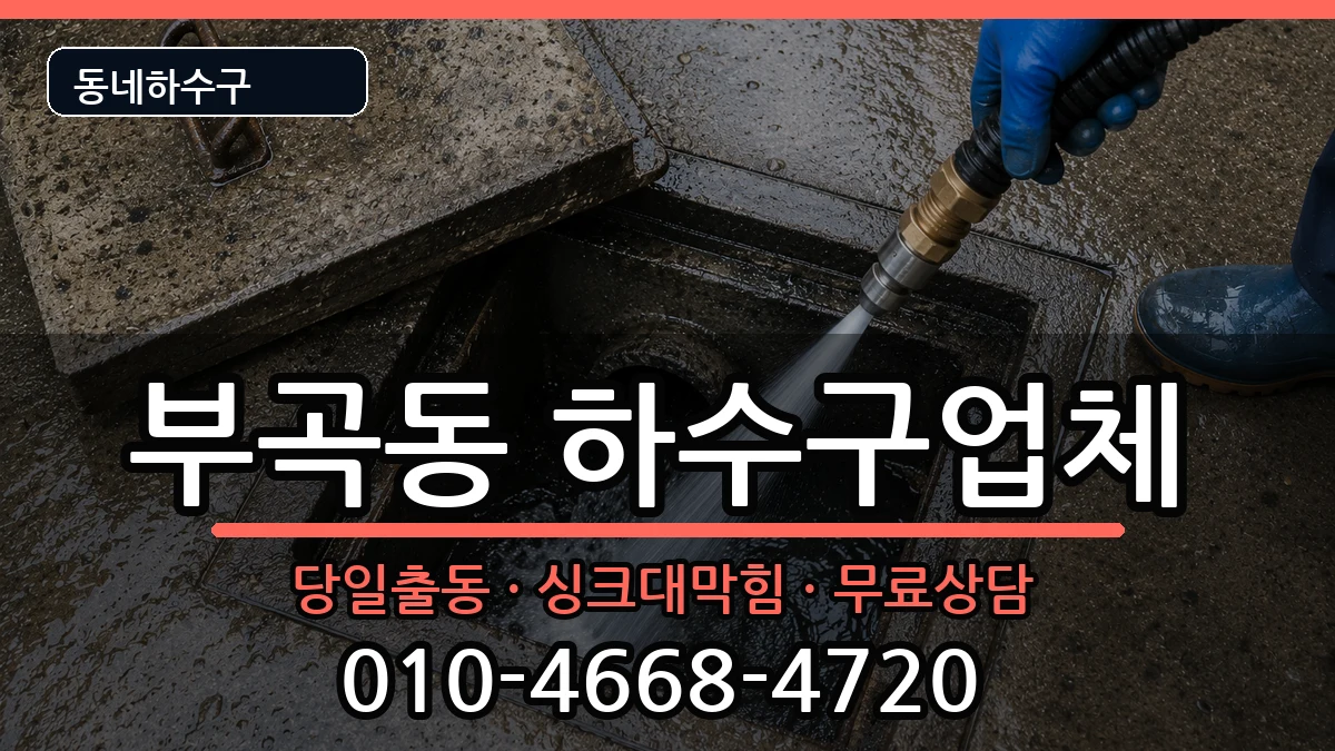 경기안산시상록구부곡동 하수구막힘 경기안산시상록구부곡동 하수구막힘 증상 처리 안내 이미지 3