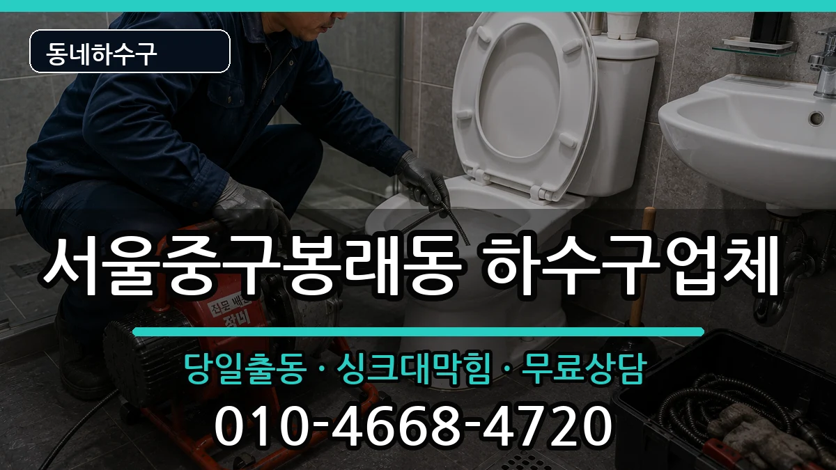 서울중구봉래동 하수구막힘 증상 처리 안내 이미지 3