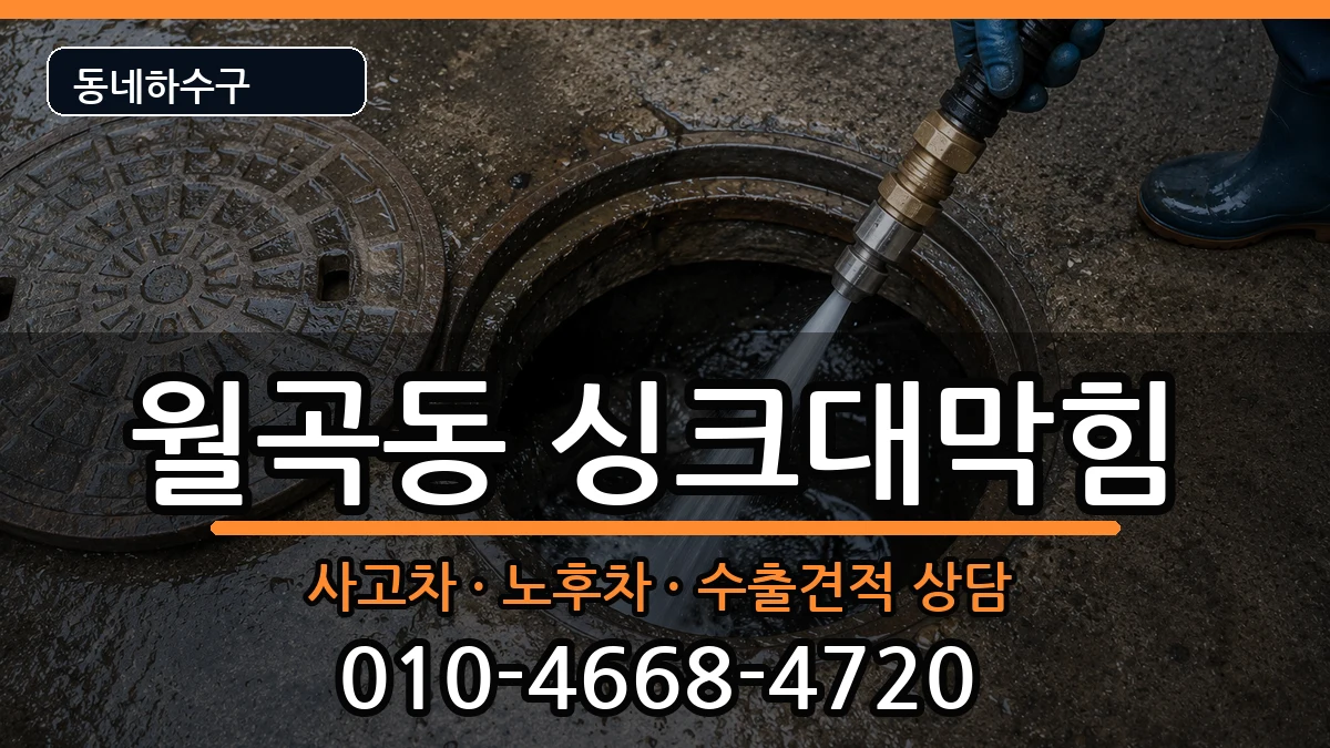 경기평택시월곡동 싱크대막힘 증상 처리 안내 이미지 1