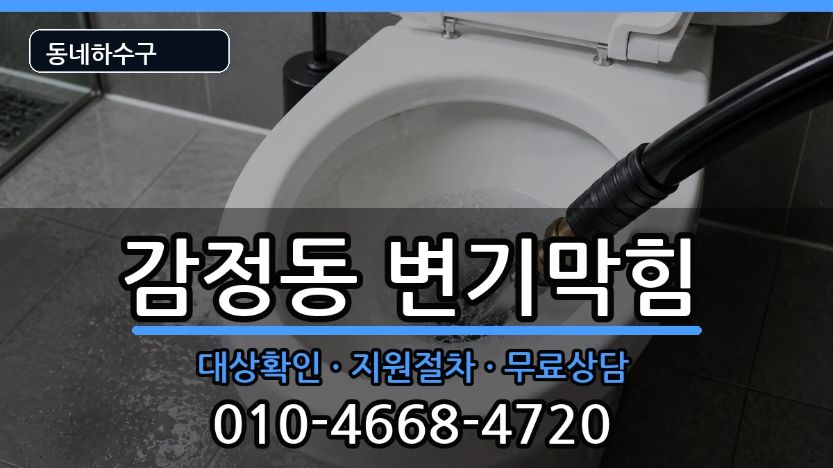 경기김포시감정동 변기막힘 경기김포시감정동 변기막힘 증상 처리 안내 이미지 1