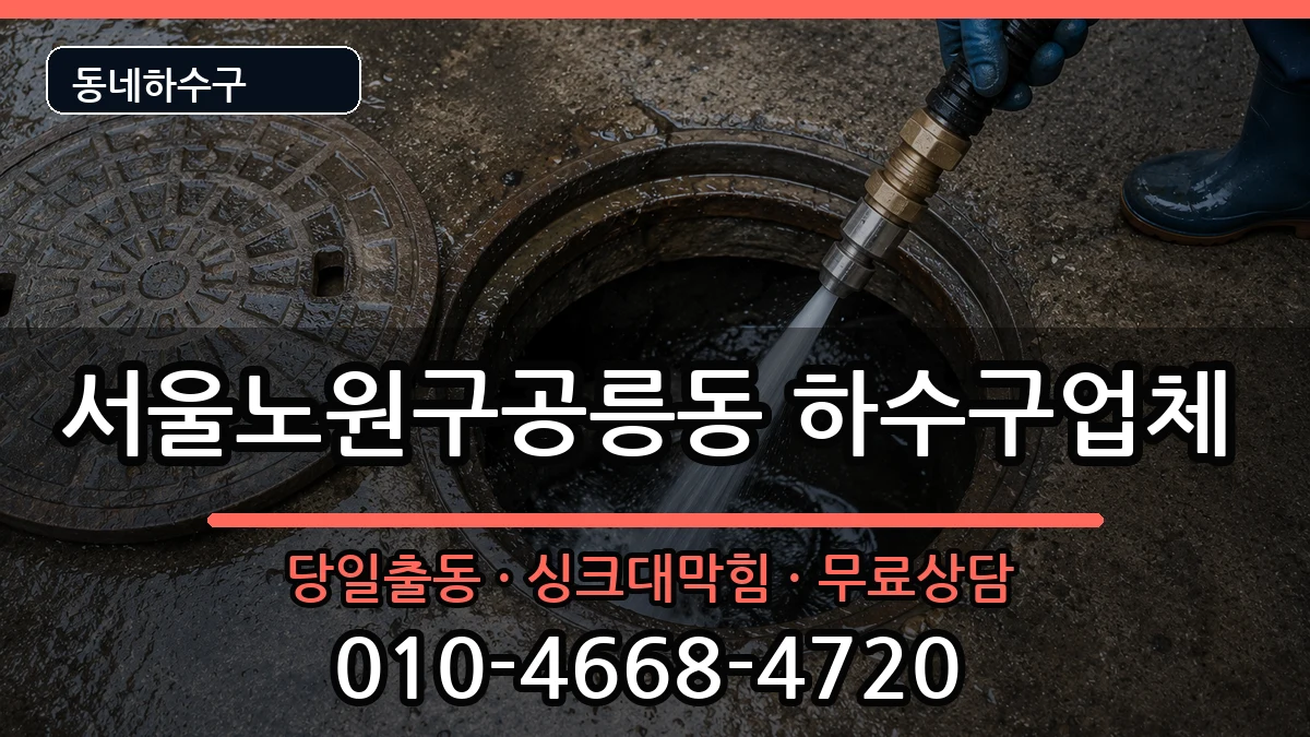 서울노원구공릉동 하수구막힘 서울노원구공릉동 하수구막힘 증상 처리 안내 이미지 1