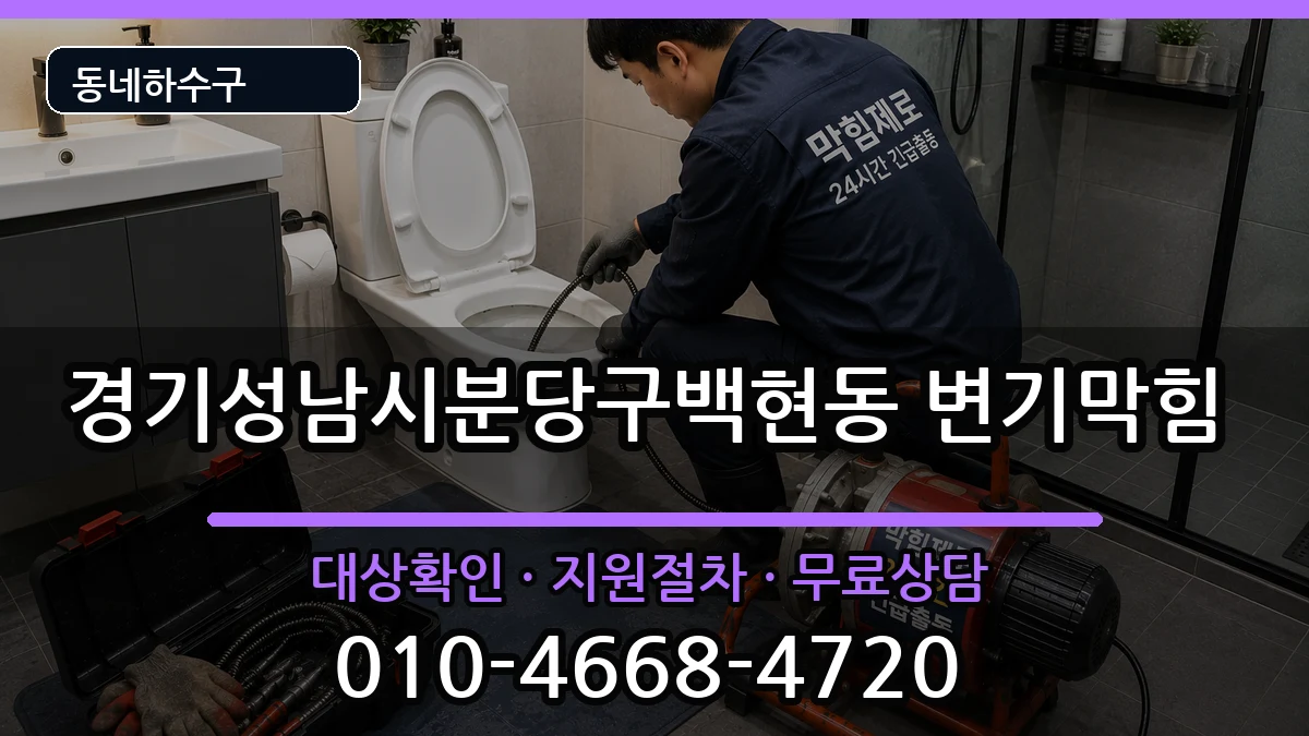 경기성남시분당구백현동  변기막힘 비용형