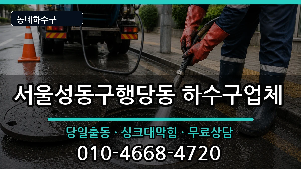 서울성동구행당동  하수구막힘 질문형