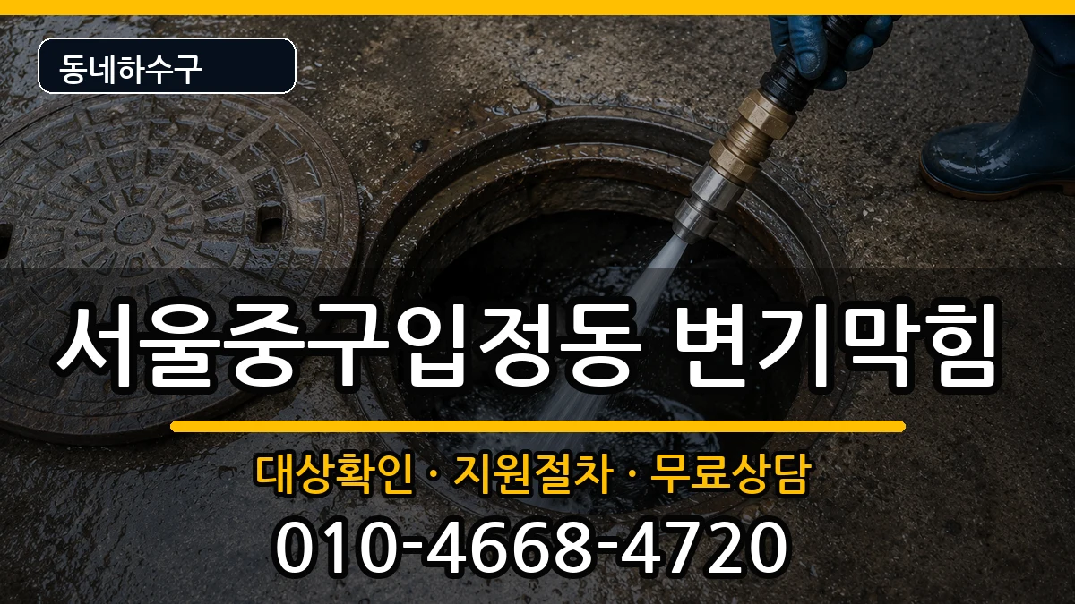 서울중구입정동 변기막힘 서울중구입정동 변기막힘 증상 처리 안내 이미지 3