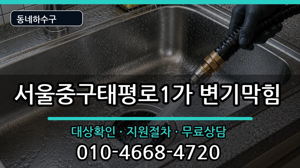 서울중구태평로1가 변기막힘 서울중구태평로1가 변기막힘 증상 처리 안내 이미지 1