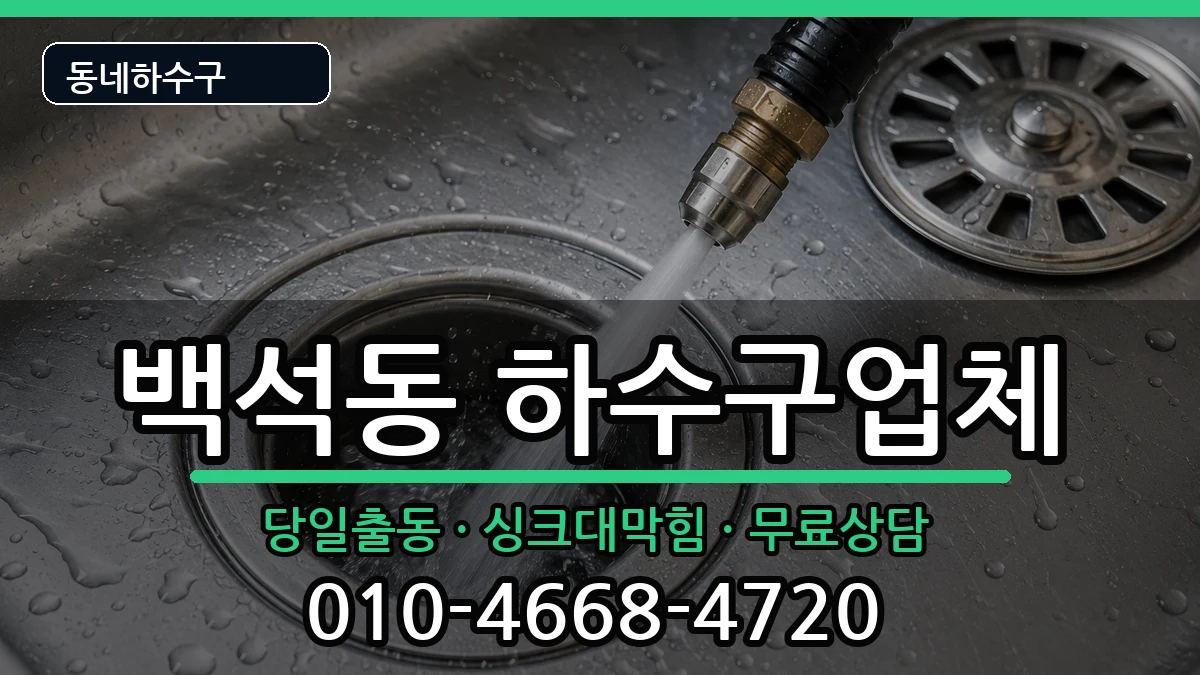 경기고양시일산동구백석동 하수구막힘 증상 처리 안내 이미지 1