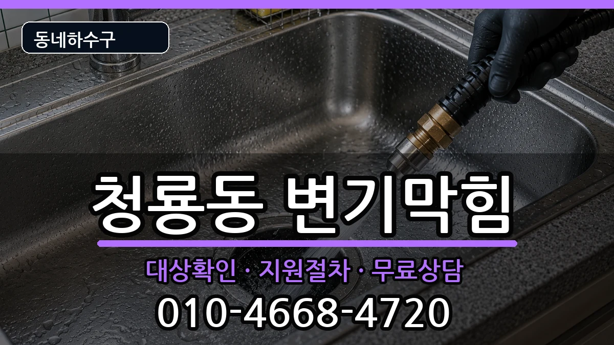 경기평택시청룡동 변기막힘 증상 처리 안내 이미지 2