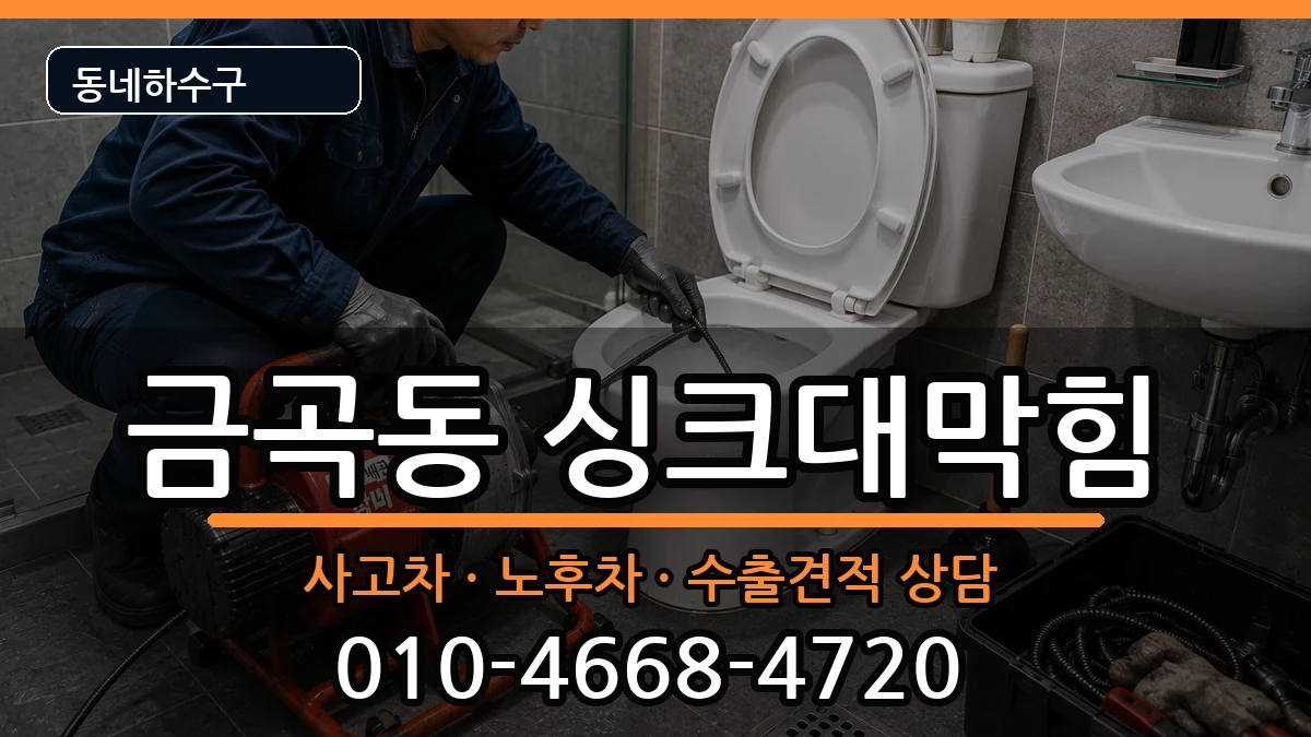 경기남양주시금곡동 싱크대막힘 증상 처리 안내 이미지 2
