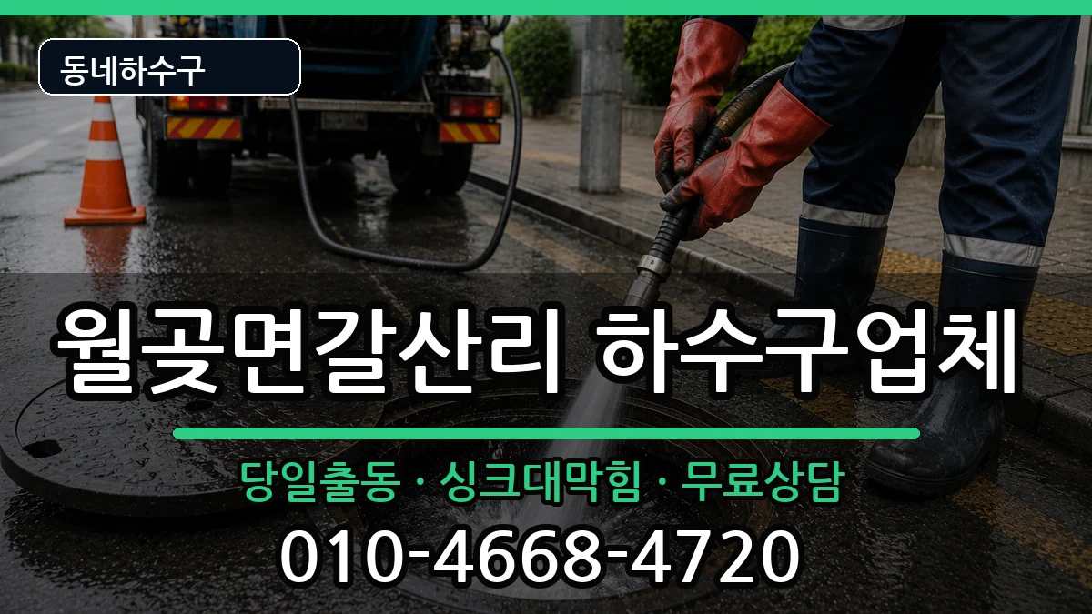 경기김포시월곶면갈산리  하수구막힘 질문형