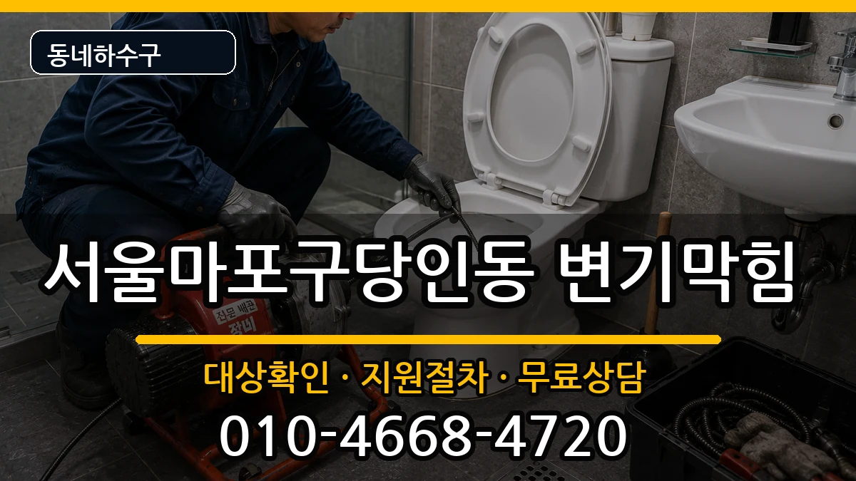 서울마포구당인동 변기막힘 증상 처리 안내 이미지 3