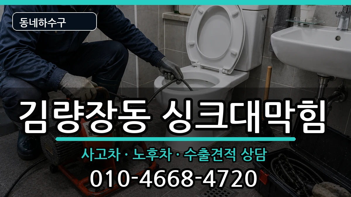 경기용인시처인구김량장동  싱크대막힘 비교형