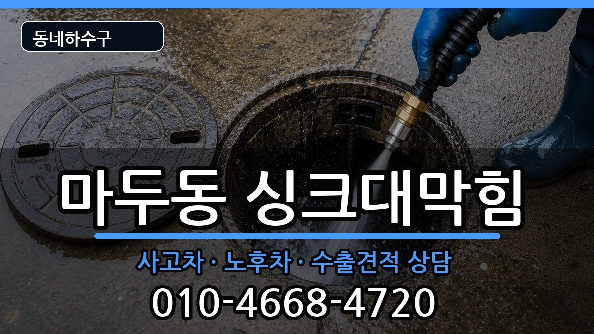 경기고양시일산동구마두동 싱크대막힘 증상 처리 안내 이미지 3