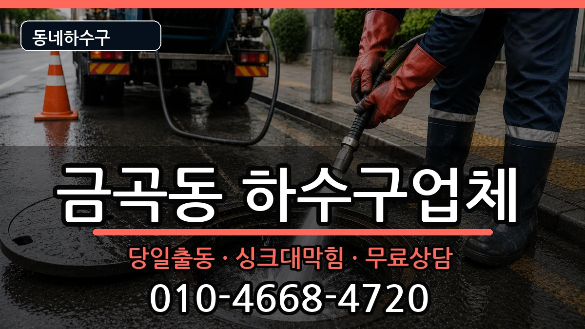 경기남양주시금곡동 하수구막힘 경기남양주시금곡동 하수구막힘 증상 처리 안내 이미지 2