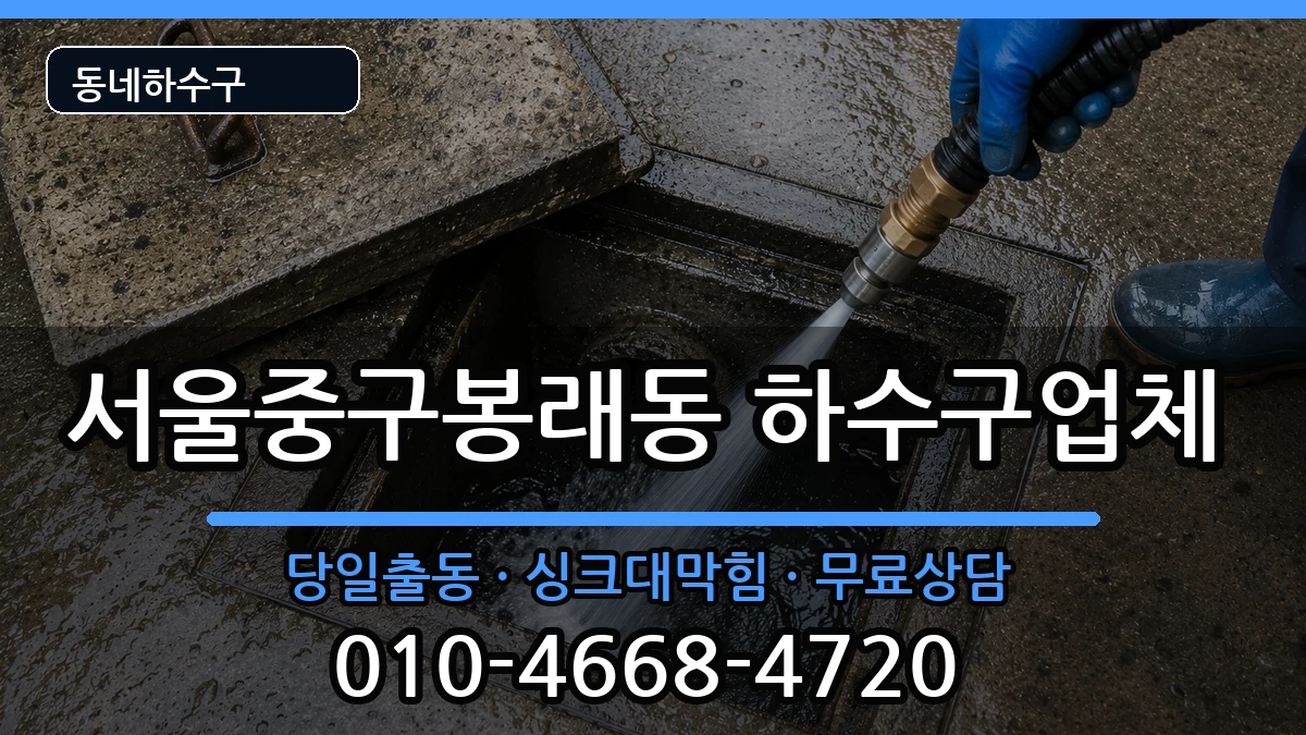 서울중구봉래동 하수구막힘 서울중구봉래동 하수구막힘 증상 처리 안내 이미지 1