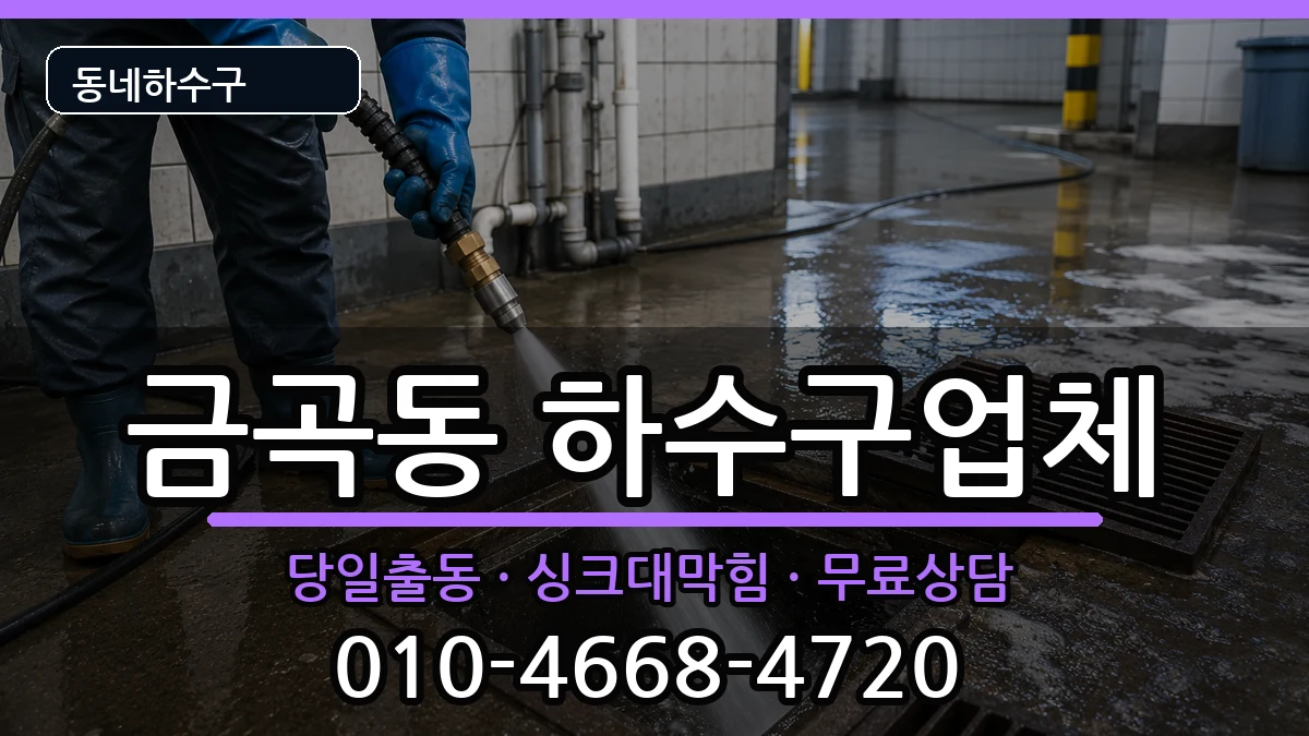 경기남양주시금곡동  하수구막힘 지역형