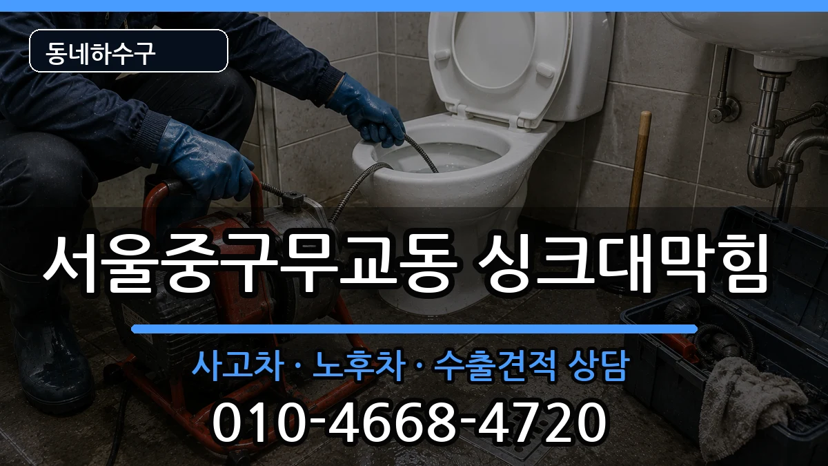 서울중구무교동 싱크대막힘 서울중구무교동 싱크대막힘 증상 처리 안내 이미지 2