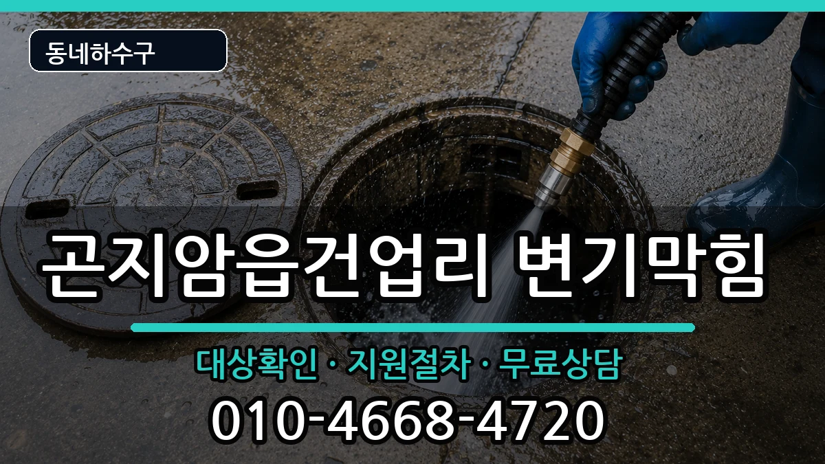 경기광주시곤지암읍건업리 변기막힘 증상 처리 안내 이미지 2