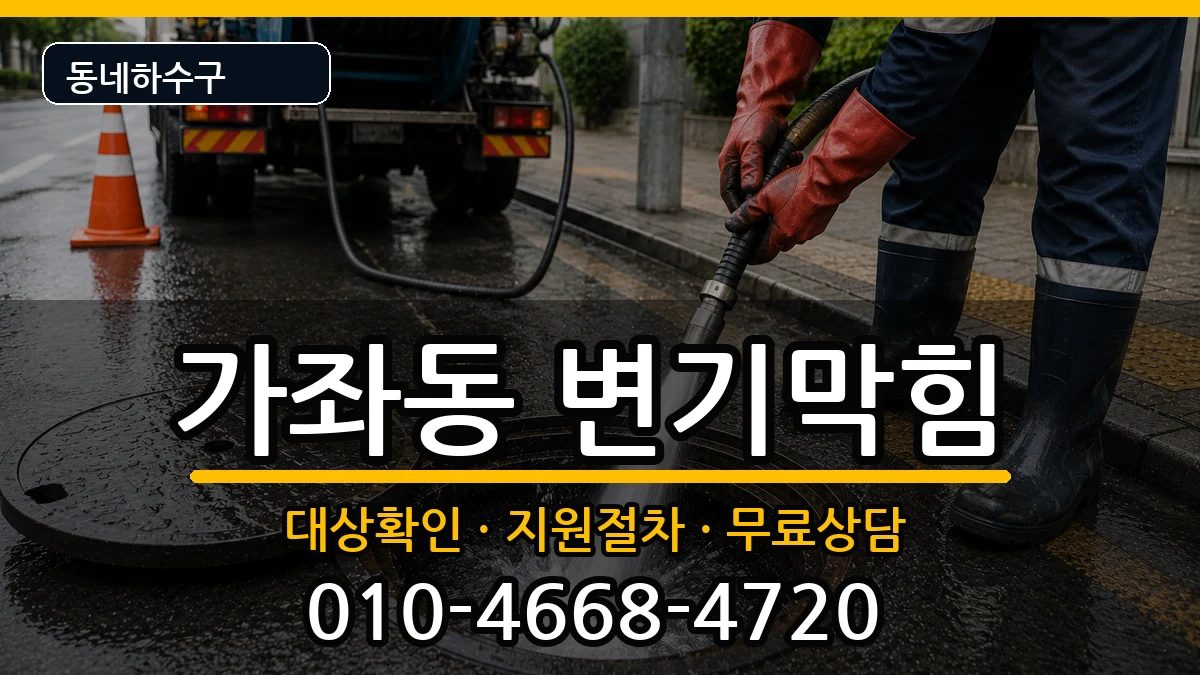 경기고양시일산서구가좌동 변기막힘 경기고양시일산서구가좌동 변기막힘 증상 처리 안내 이미지 3