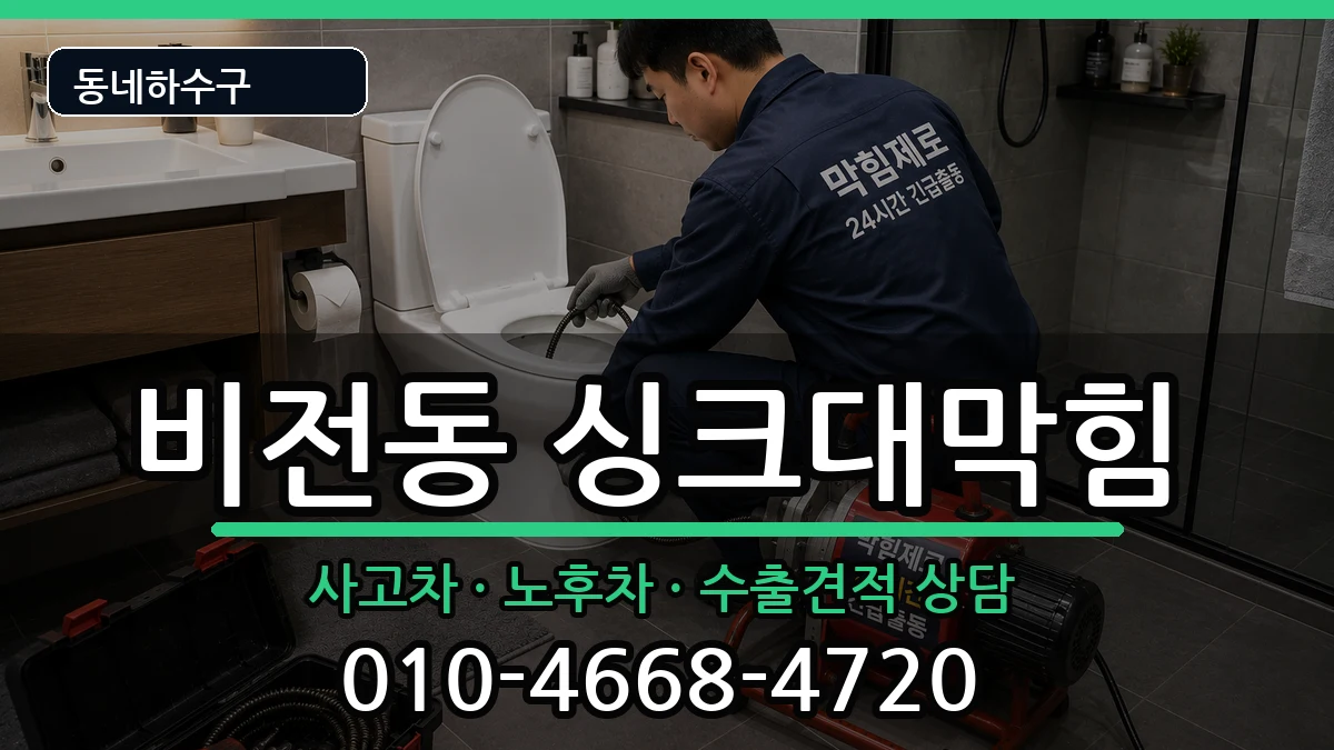 경기평택시비전동 싱크대막힘 경기평택시비전동 싱크대막힘 증상 처리 안내 이미지 1