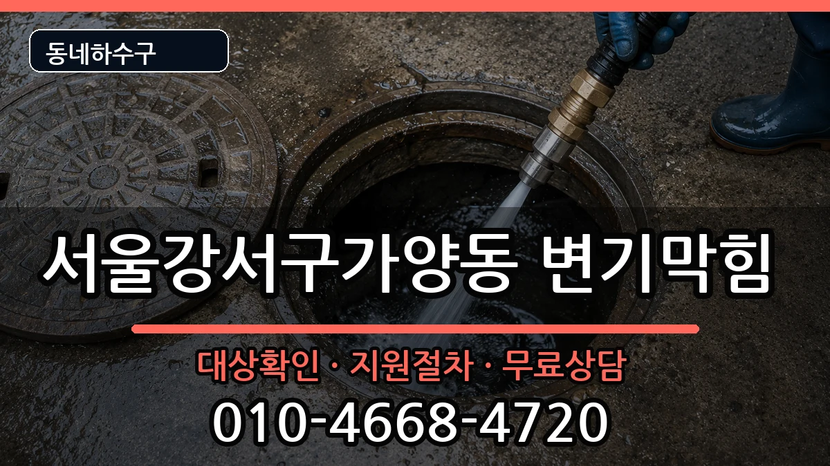 서울강서구가양동 변기막힘 서울강서구가양동 변기막힘 증상 처리 안내 이미지 3