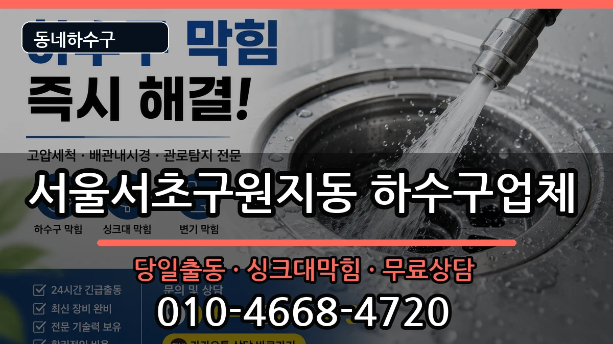 서울서초구원지동 하수구막힘 증상 처리 안내 이미지 3