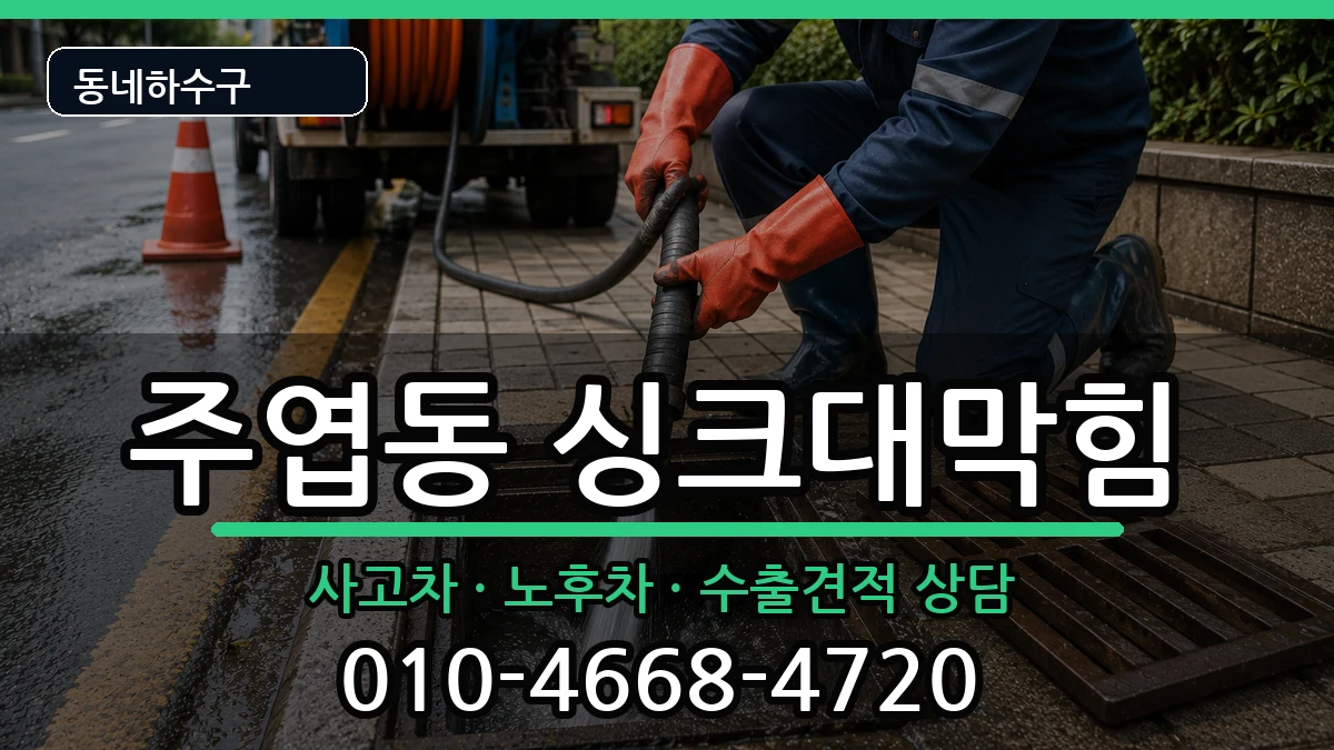 경기고양시일산서구주엽동  싱크대막힘 질문형