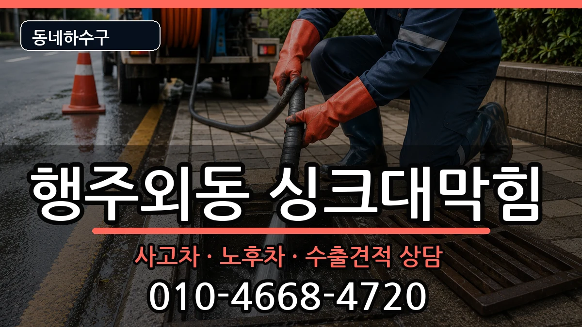 경기고양시덕양구행주외동  싱크대막힘 질문형
