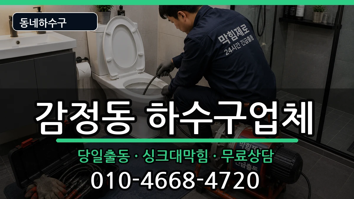 경기김포시감정동 하수구막힘 경기김포시감정동 하수구막힘 증상 처리 안내 이미지 2