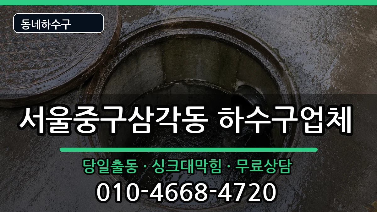 서울중구삼각동 하수구막힘 서울중구삼각동 하수구막힘 증상 처리 안내 이미지 2