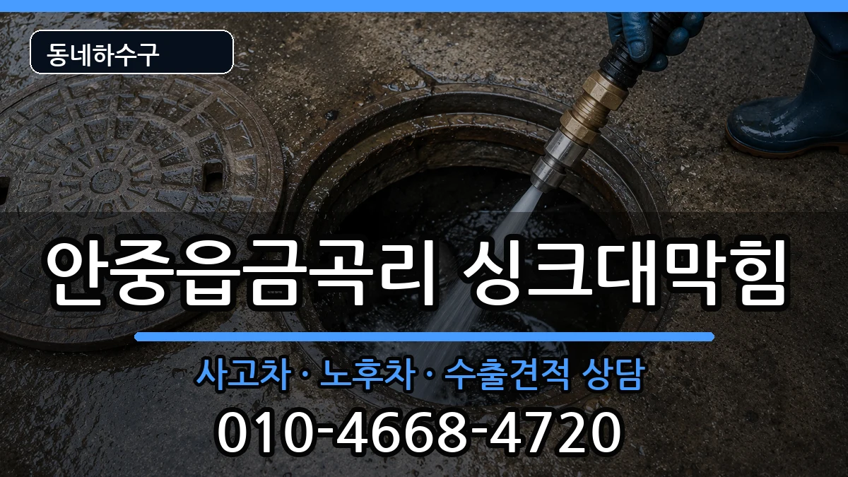 경기평택시안중읍금곡리 싱크대막힘 경기평택시안중읍금곡리 싱크대막힘 증상 처리 안내 이미지 1