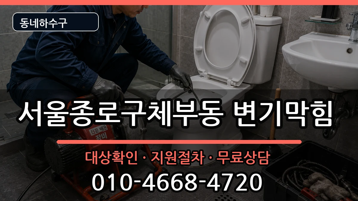 서울종로구체부동 변기막힘 서울종로구체부동 변기막힘 증상 처리 안내 이미지 2