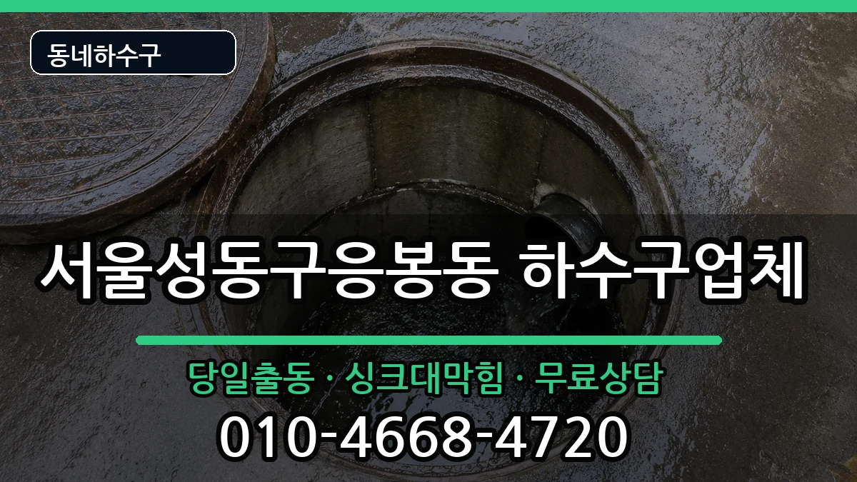 서울성동구응봉동  하수구막힘 FAQ형