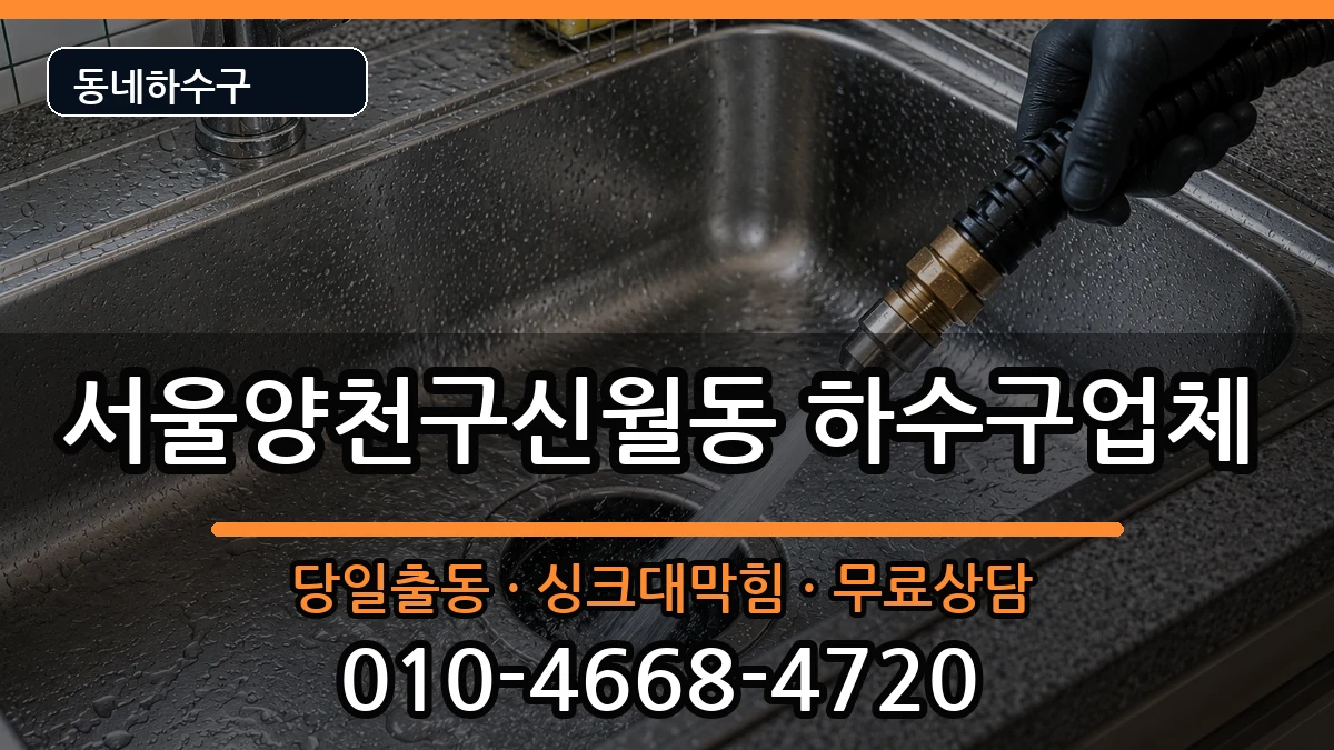 서울양천구신월동 하수구막힘 증상 처리 안내 이미지 2