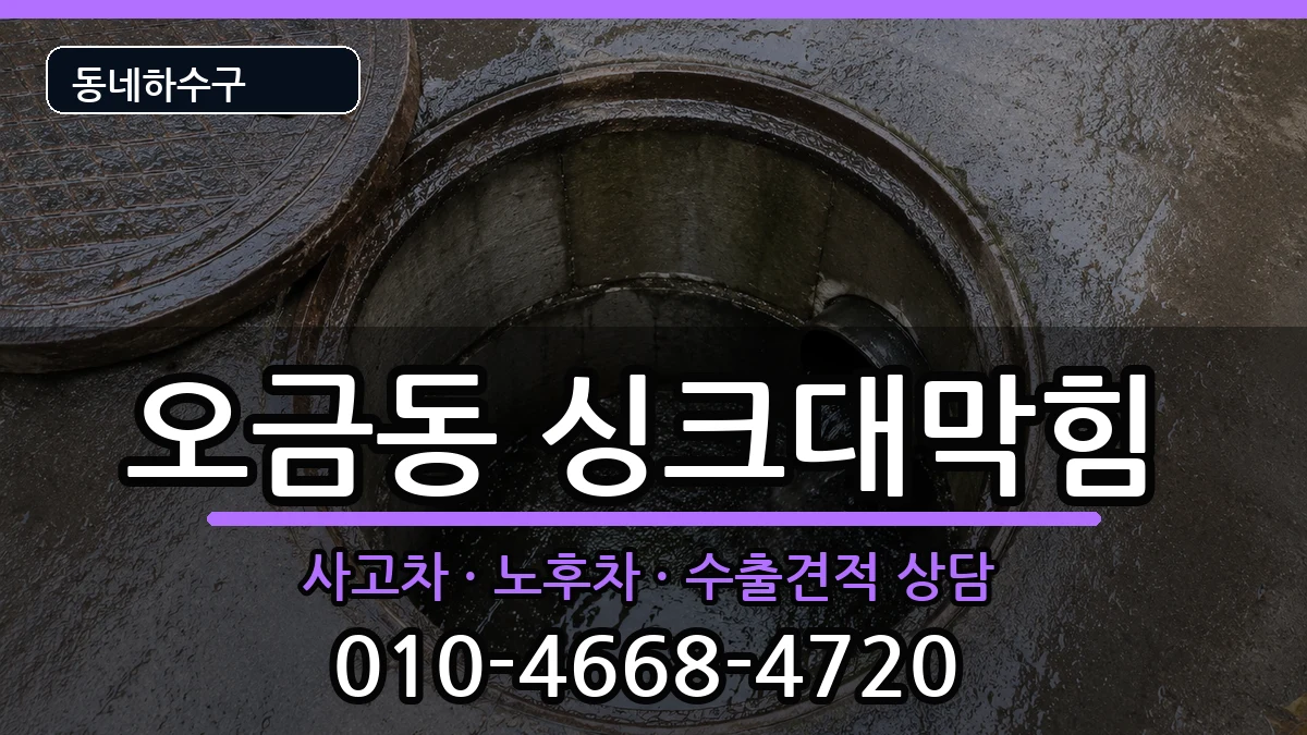 경기고양시덕양구오금동 싱크대막힘 증상 처리 안내 이미지 2