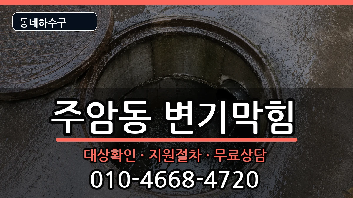 경기과천시주암동 변기막힘 증상 처리 안내 이미지 1