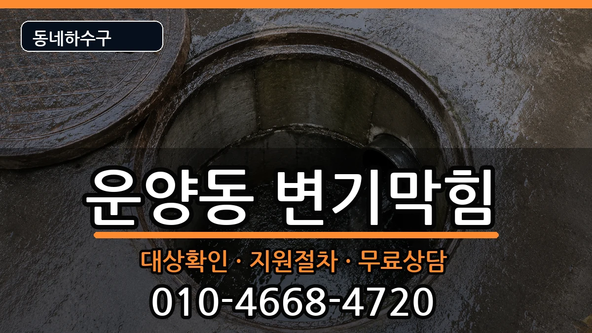 경기김포시운양동 변기막힘 증상 처리 안내 이미지 2