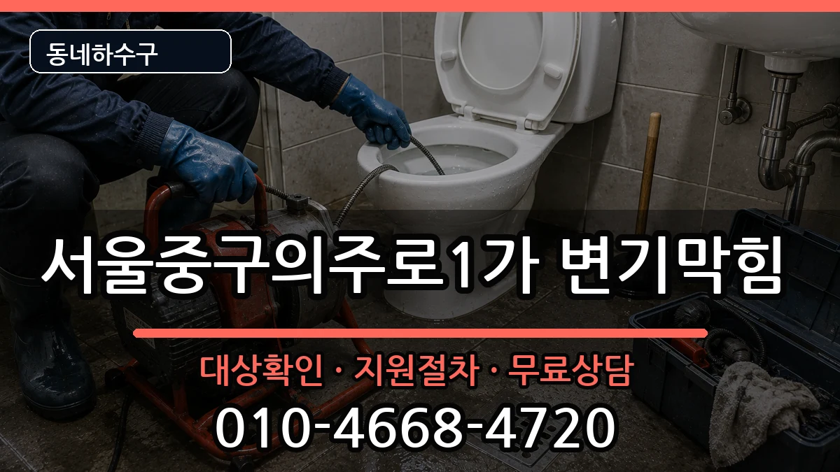 서울중구의주로1가 변기막힘 서울중구의주로1가 변기막힘 증상 처리 안내 이미지 3