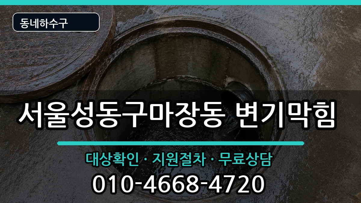 서울성동구마장동 변기막힘 증상 처리 안내 이미지 2